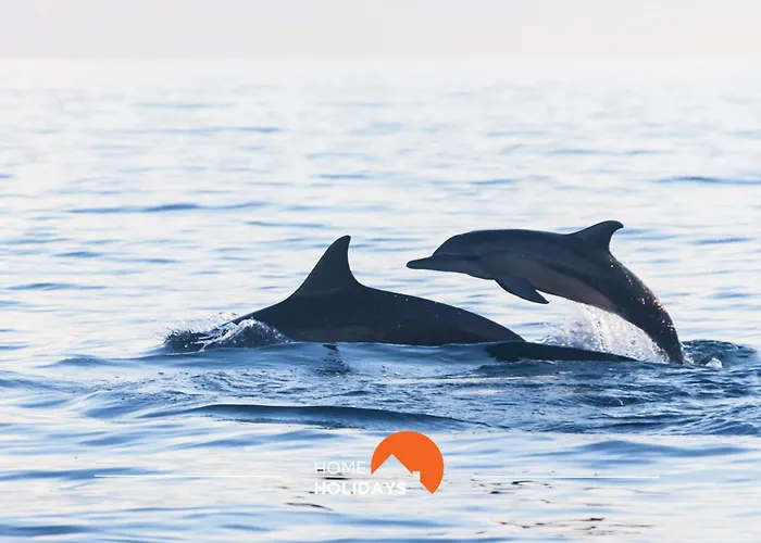 別荘 #133 Dias 1 By Holidays