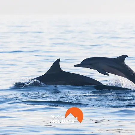 Casa de Férias #133 Dias 1 By Holidays